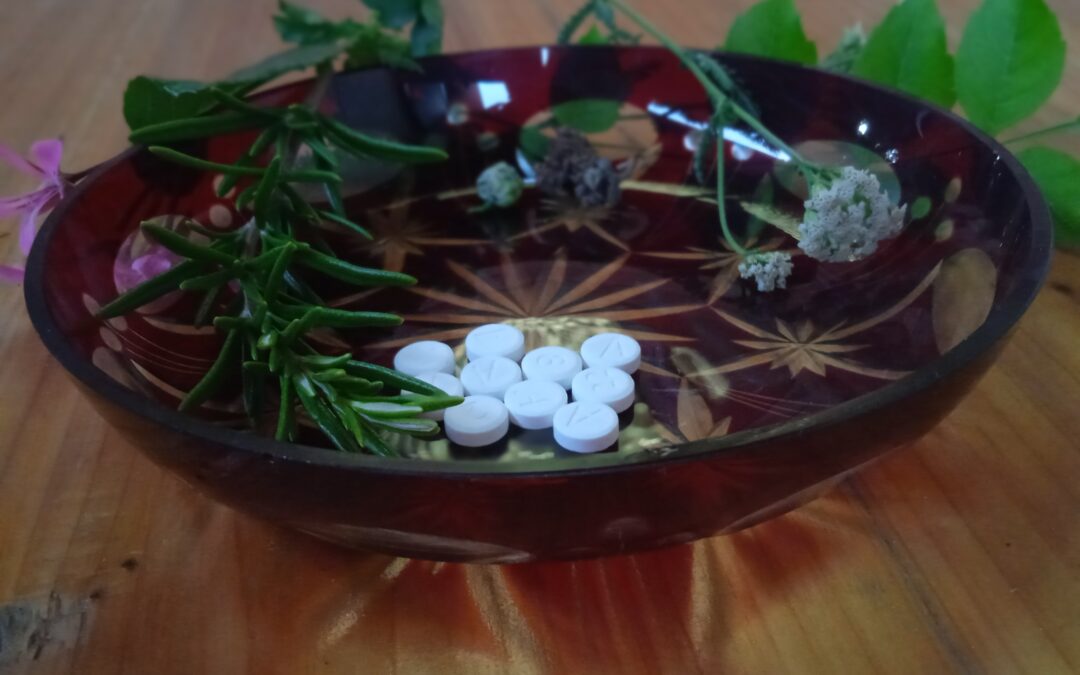 Miért nem elég önmagában a Schüssler só? – A tápanyagok szerepe